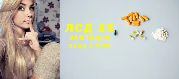 стаф Алексин