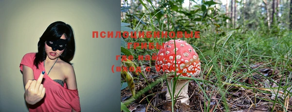 марки nbome Алзамай